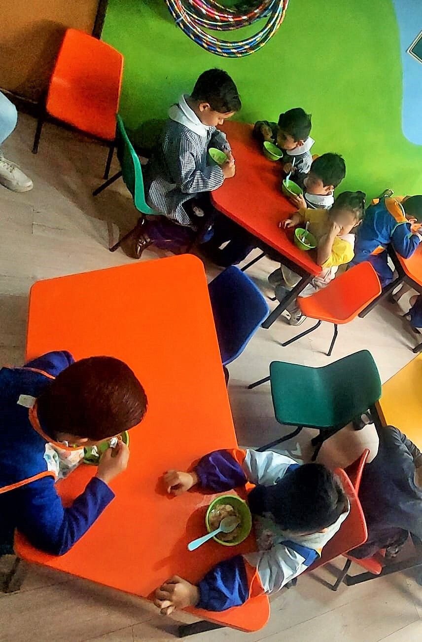 programa de alimentacion 1