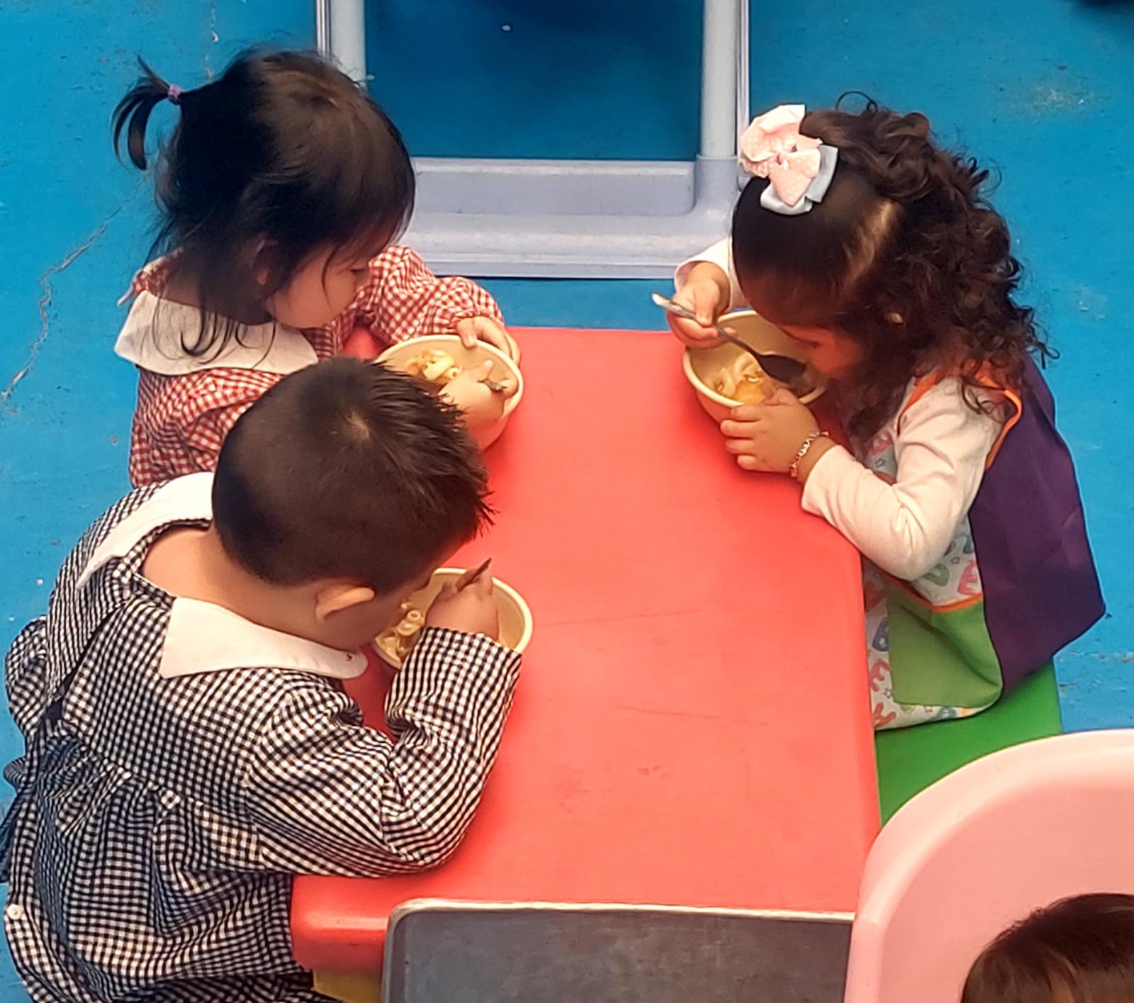 programa de alimentacion 3