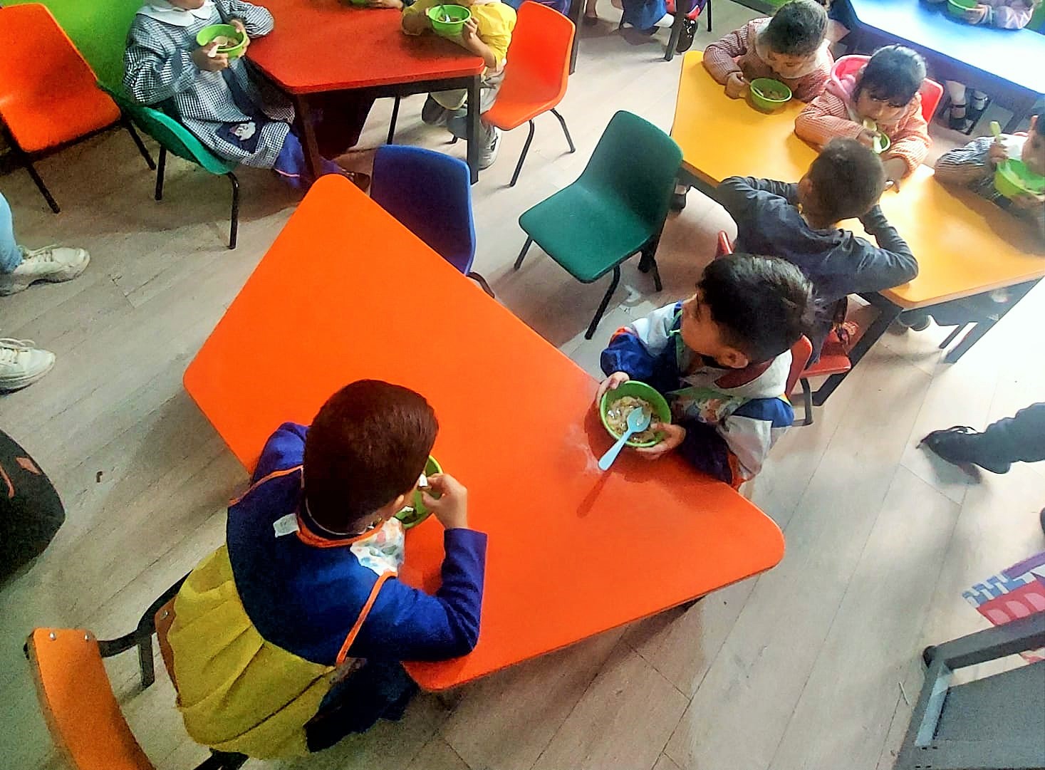 programa de alimentacion 5